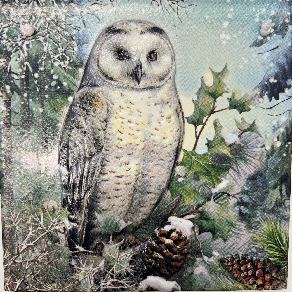🦉❄️ Keramická dlaždice – Sova v zimním lese 🌲✨   