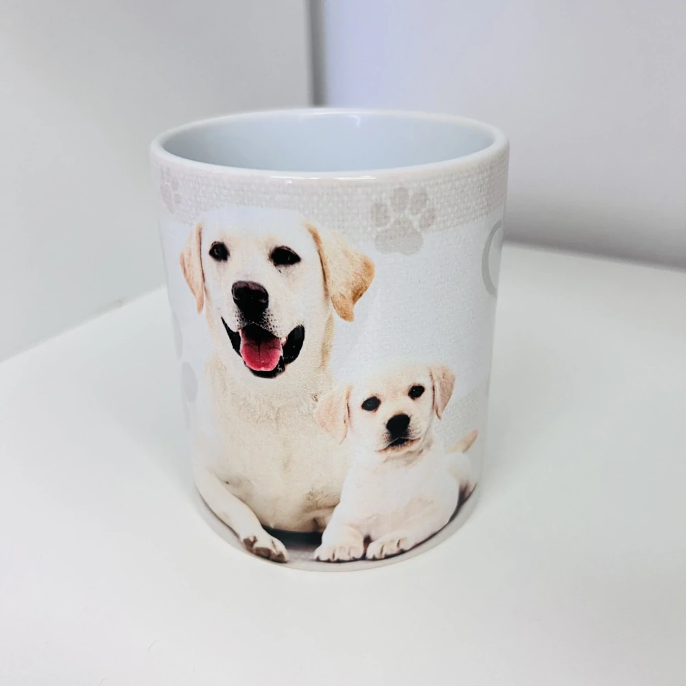 HRNEK LABRADOR