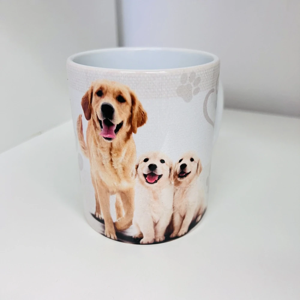HRNEK - LABRADORSKÝ RETRÍVR