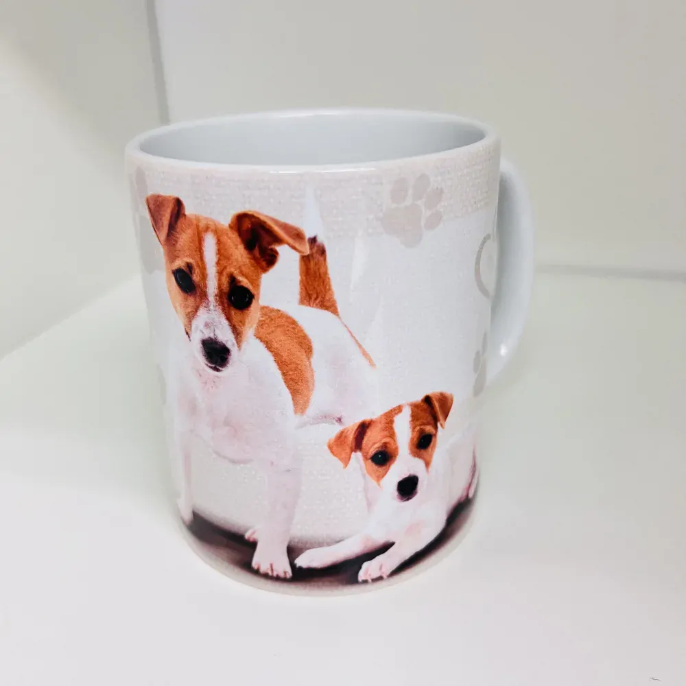 HRNEK - JACK ROSSELL TERIÉR 