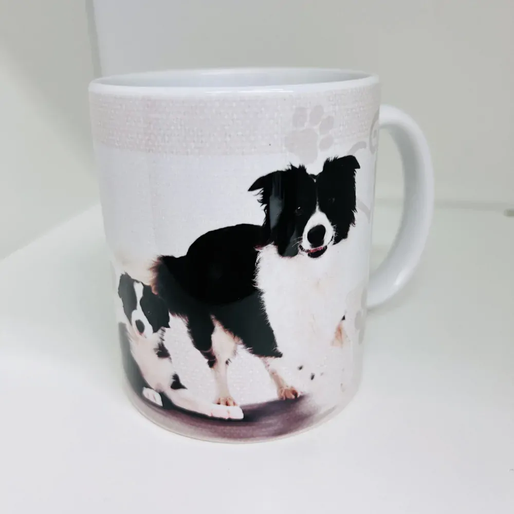 HRNEK - BORDER KOLIE