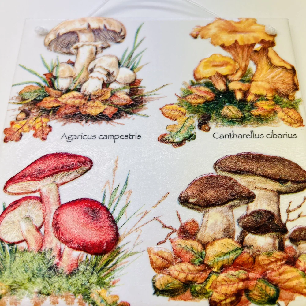 DEKORACE K ZAVĚŠENÍ DLAŽDICE ZDOBENA TECHNIKOU DECOUPAGE 3D