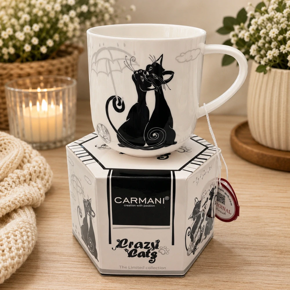 🐱☕ Porcelánový hrnek CARMANI® – Crazy Cats v dárkové krabičce, 450 ml 🎁