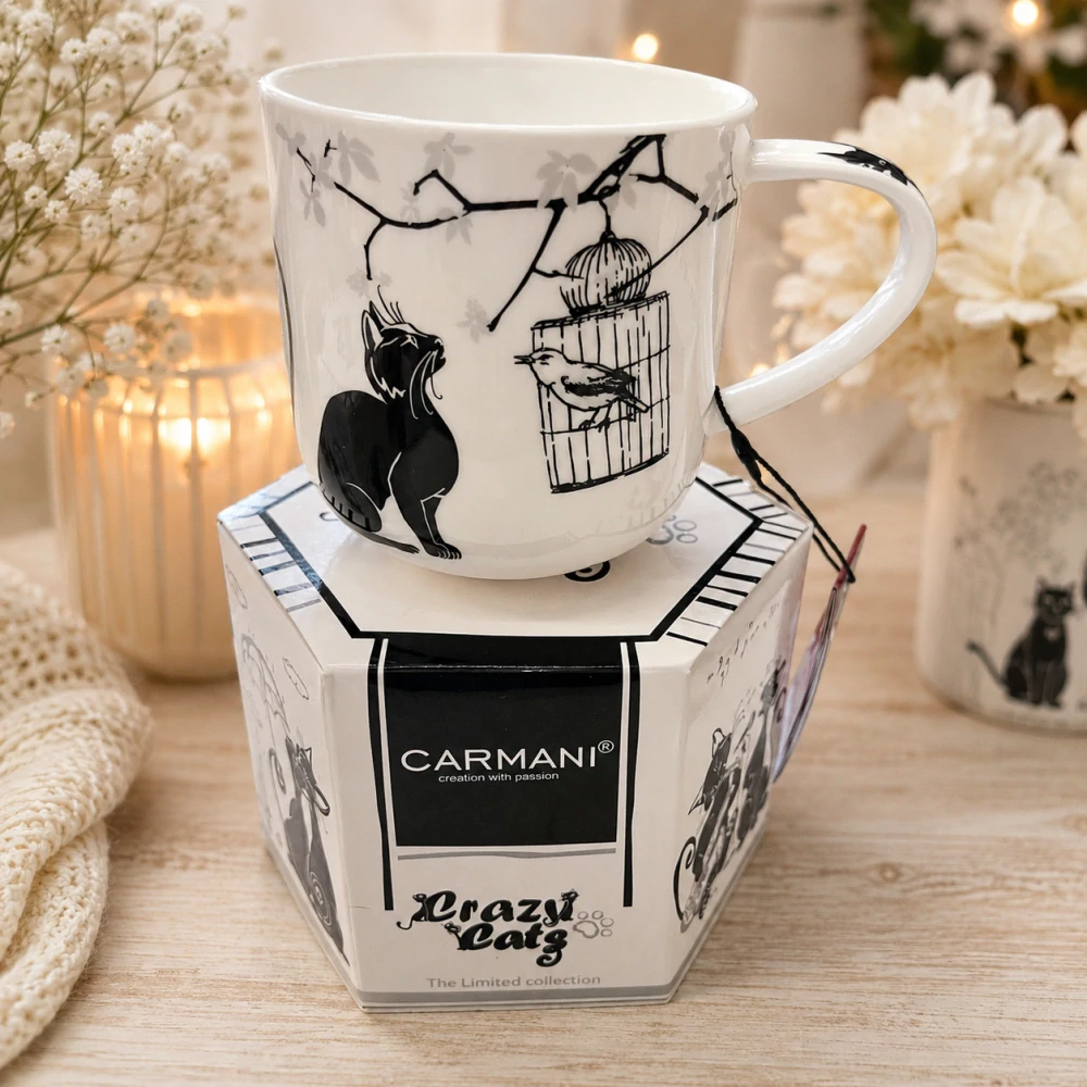 🐱☕ Porcelánový hrnek CARMANI® – Crazy Cats v dárkové krabičce, 450 ml 🎁