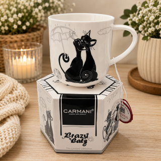 🐱☕ Porcelánový hrnek CARMANI® – Crazy Cats v dárkové krabičce, 450 ml 🎁
