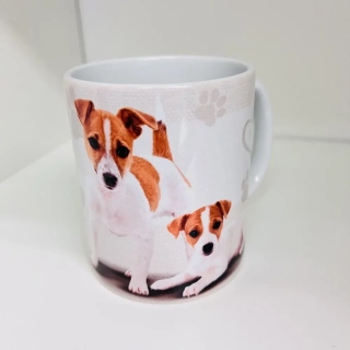 HRNEK - JACK ROSSELL TERIÉR 