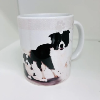 HRNEK - BORDER KOLIE